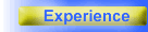 Experience